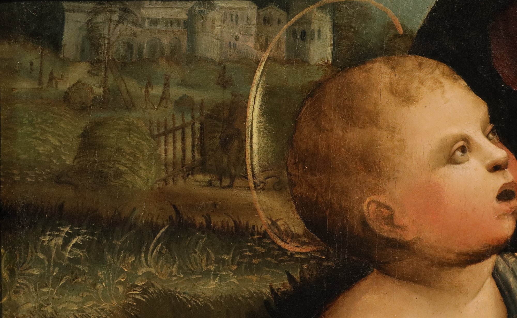  San Giovanni Battista bambino