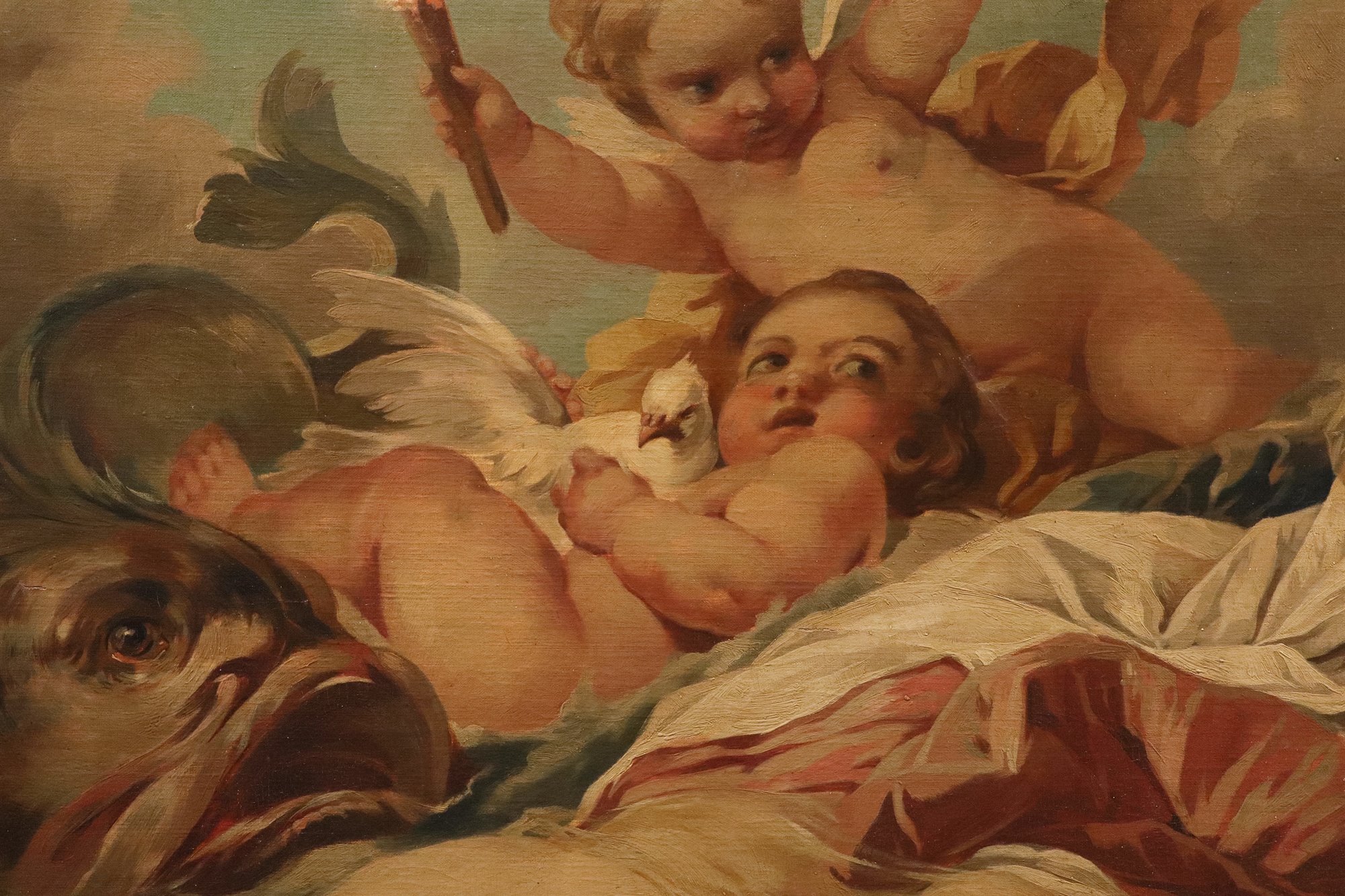 La nascita di Venere