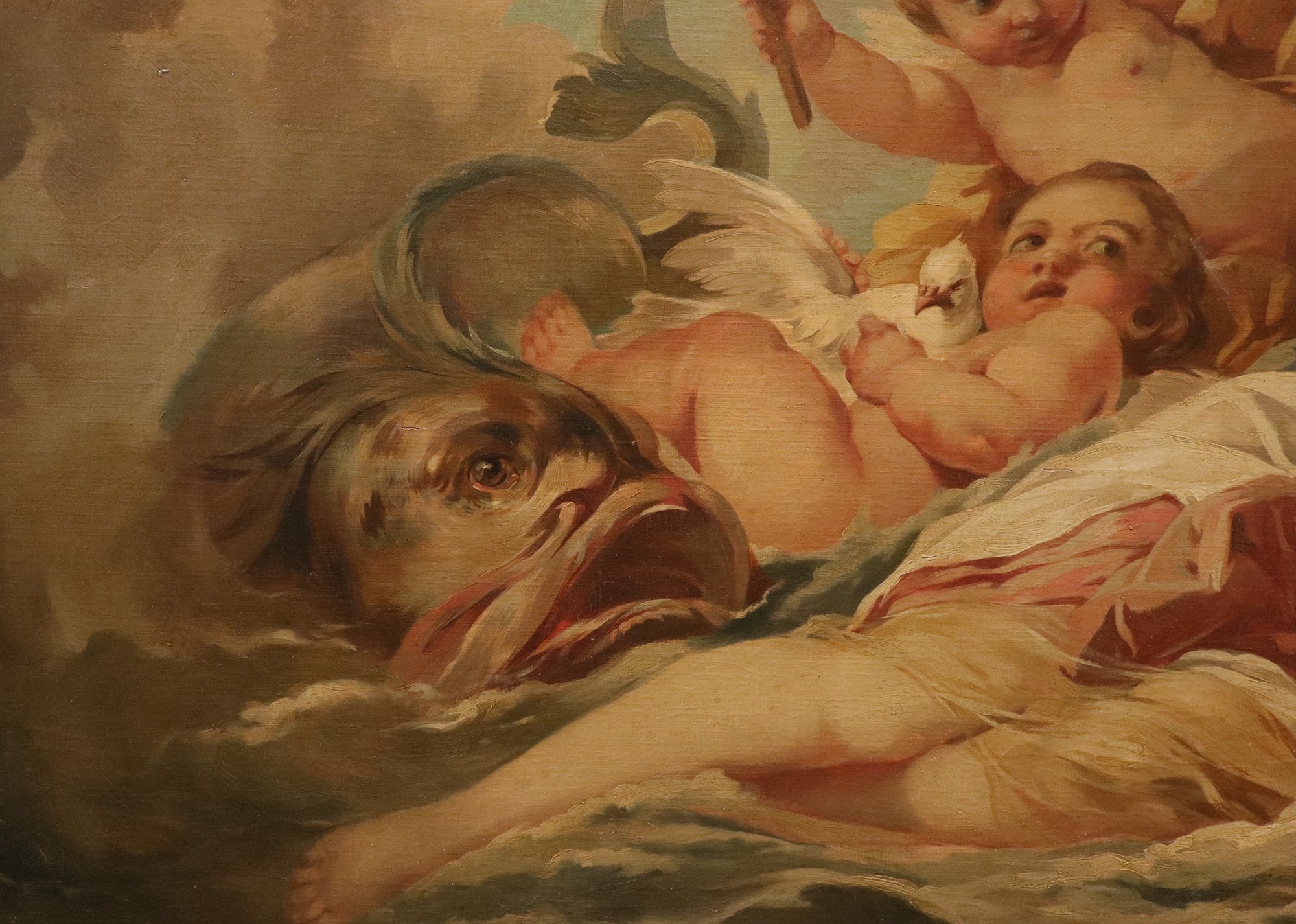 La nascita di Venere