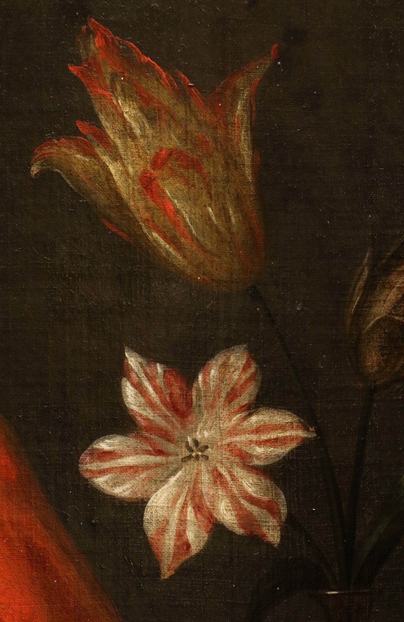 Ritratto di Luisa Enrichetta di Nassau (L'Aia, 1627 – Cölln, 1667)