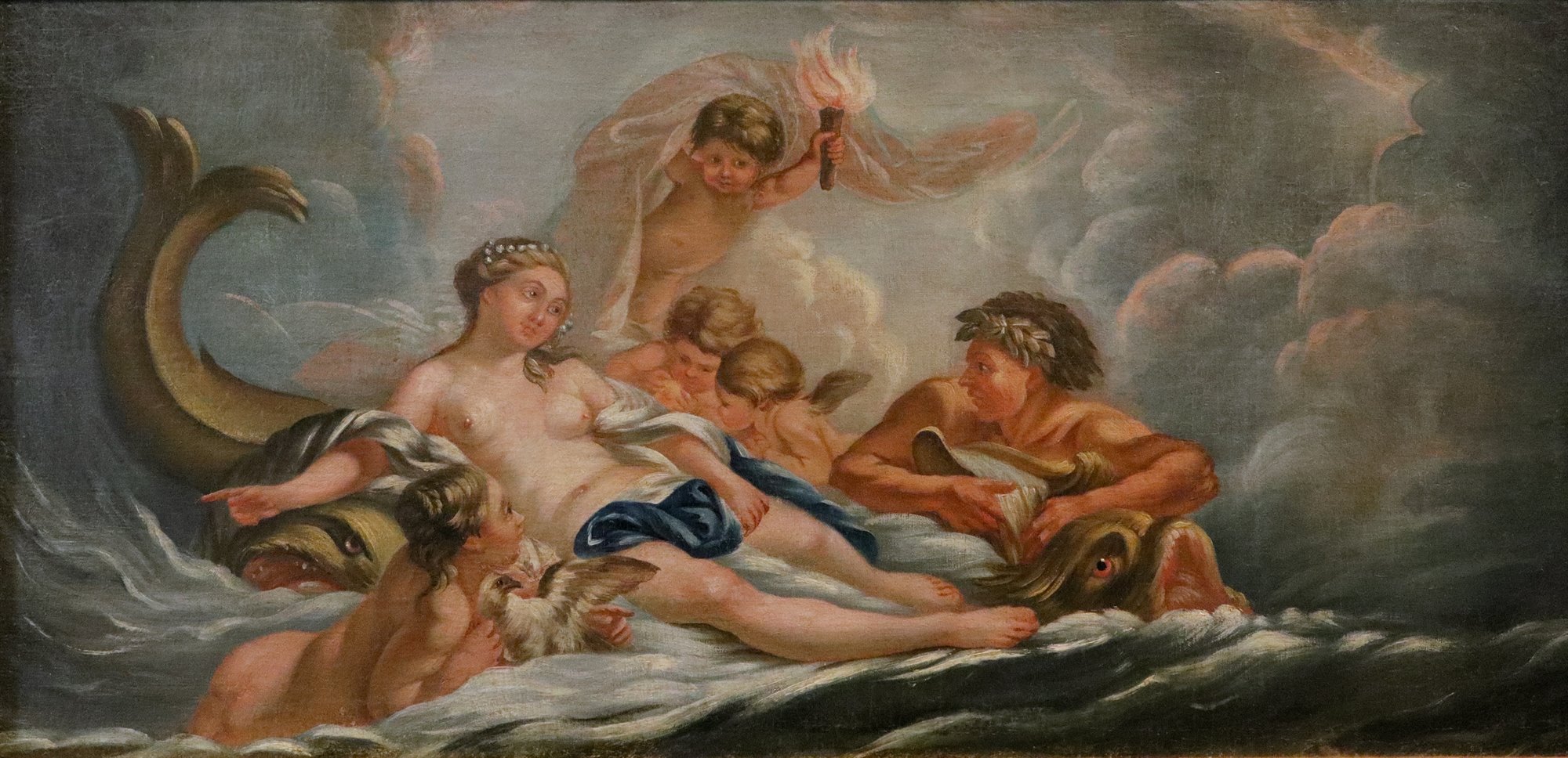 Venere tra le acque