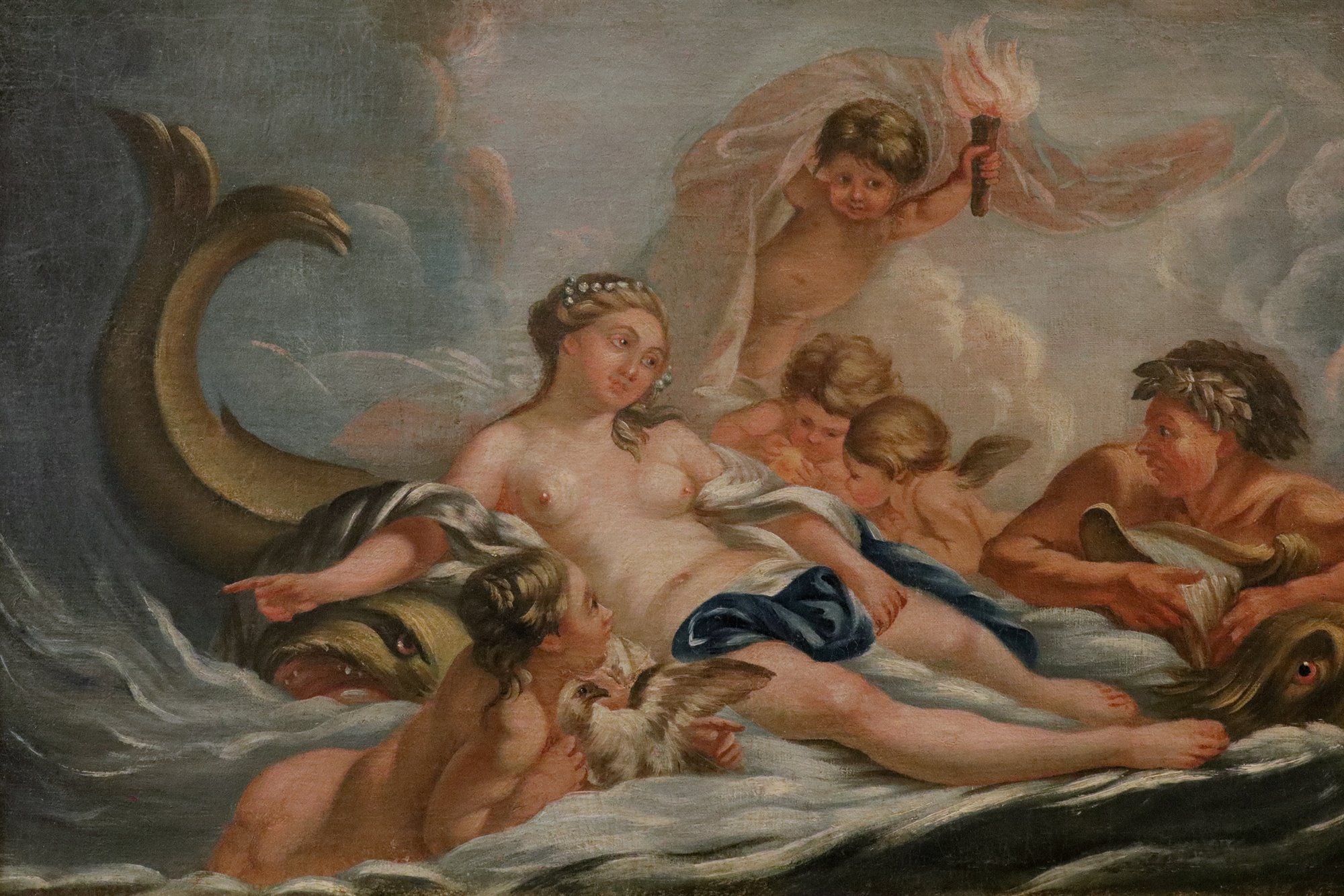 Venere tra le acque