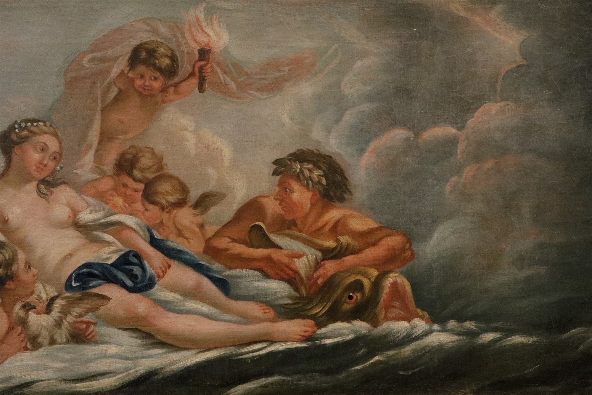 Venere tra le acque