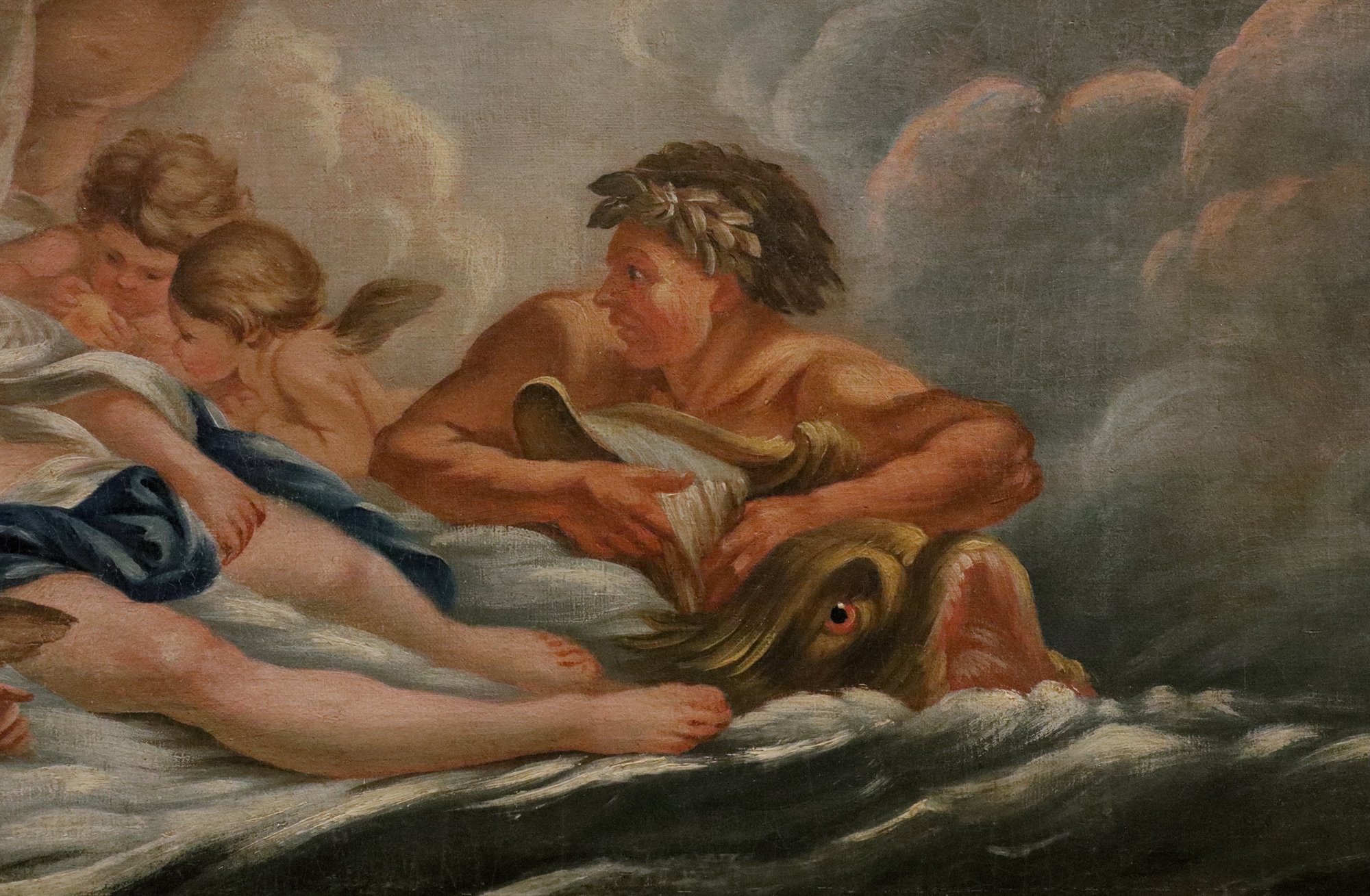 Venere tra le acque
