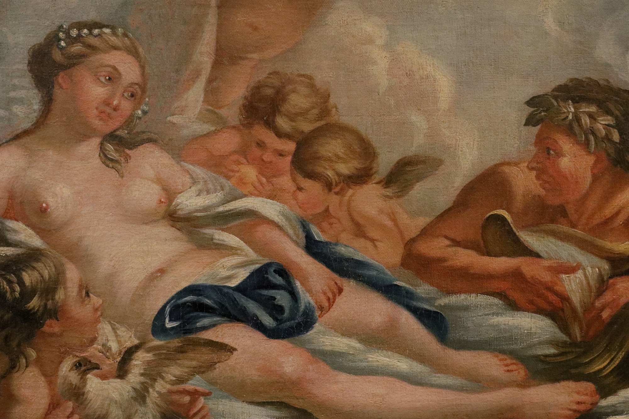 Venere tra le acque