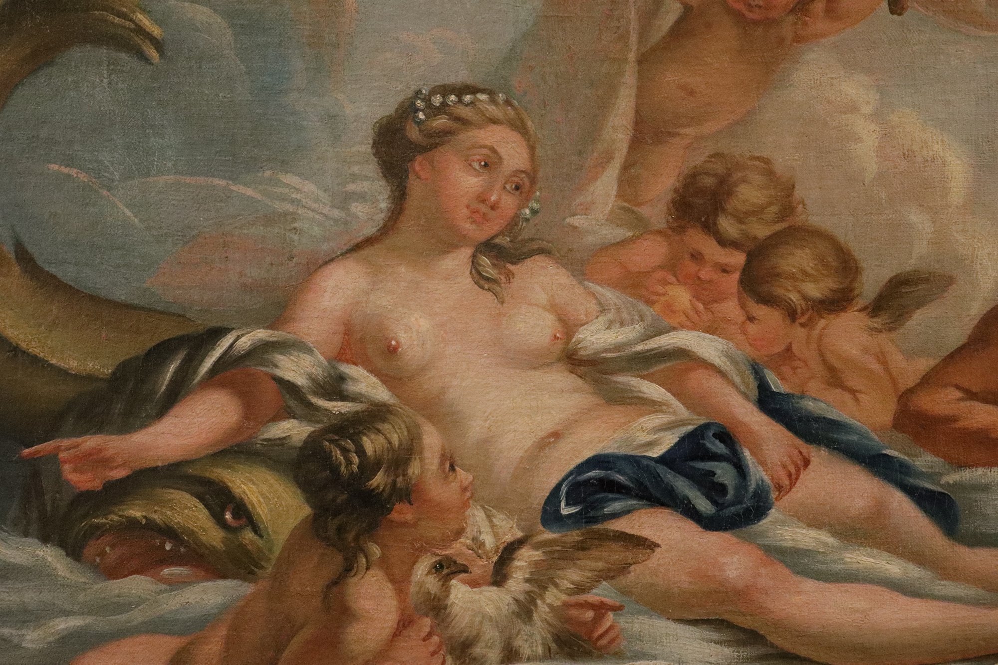 Venere tra le acque