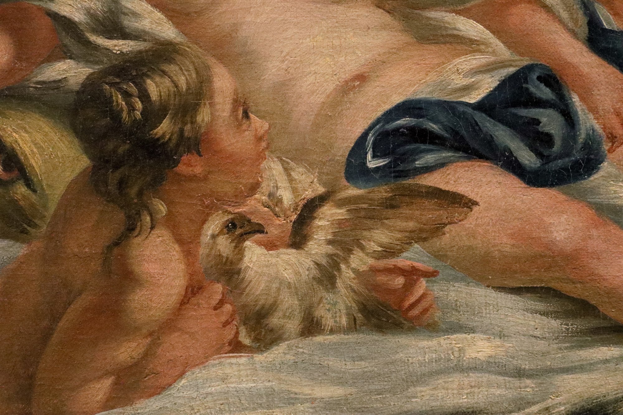 Venere tra le acque