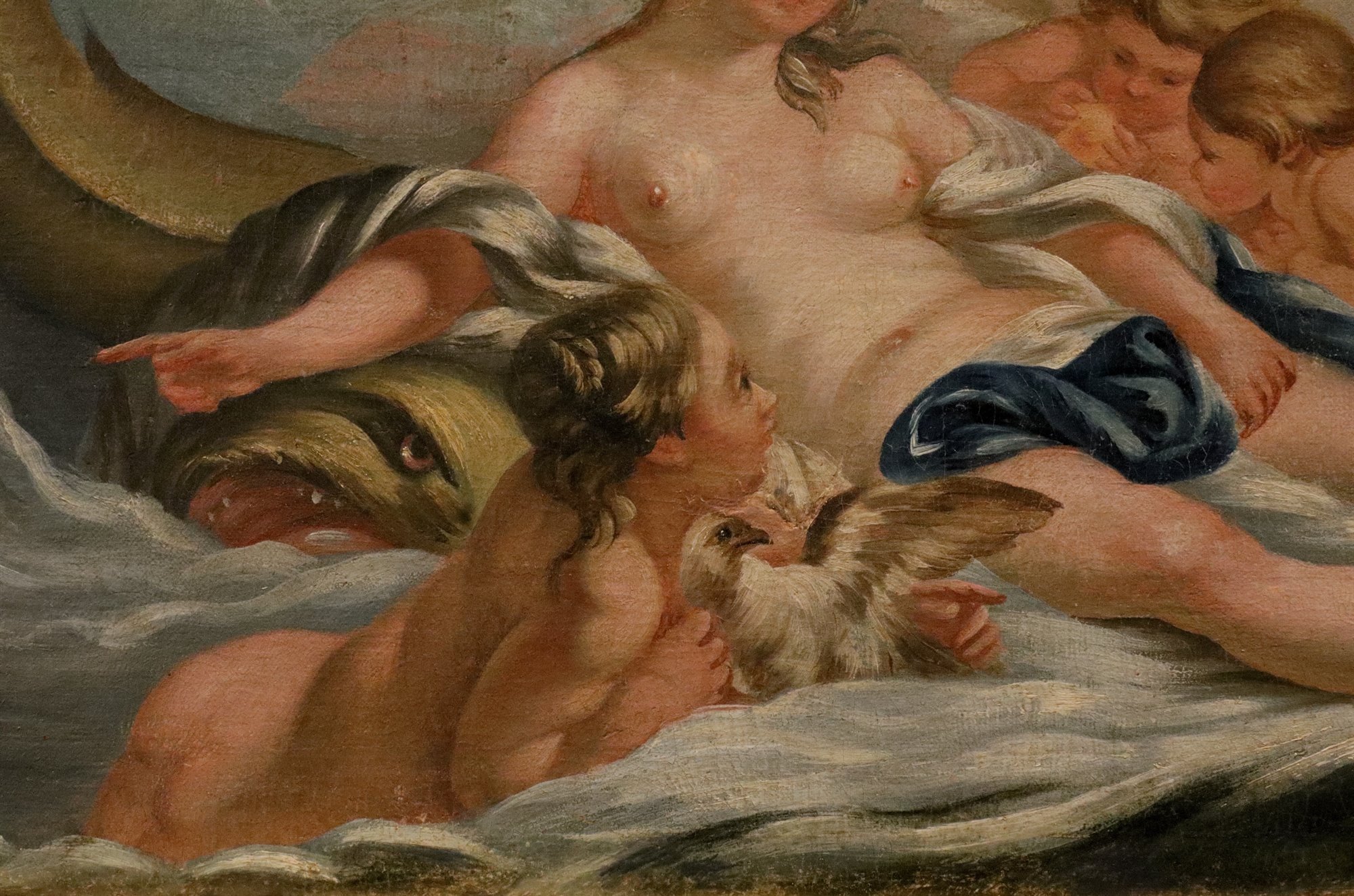 Venere tra le acque