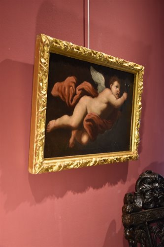 Angelo in volo