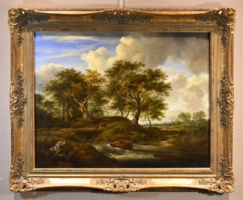  Paesaggio boscoso con ruscello