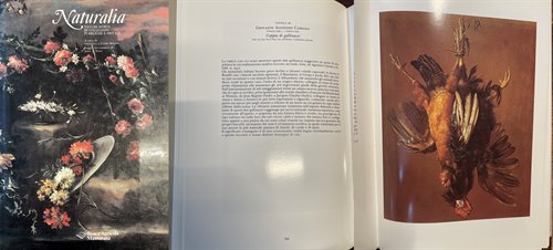 Natura morta con coppia di gallinacei